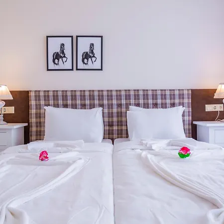 Gardenia Palace 3* Pomorie